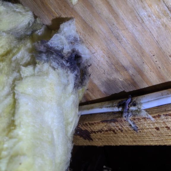 short-circuit-to-well-pump-summerfield-nc-wiring-damage.jpg