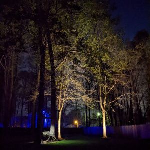 Landscape Lighting Installation in Triad NC