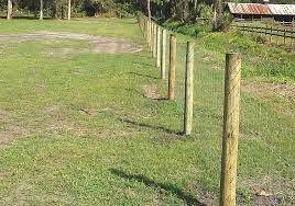 Feild fence.jpg