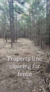 Propertyline clearing for fence.jpg