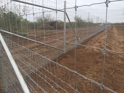 Predator wire fence.jpg