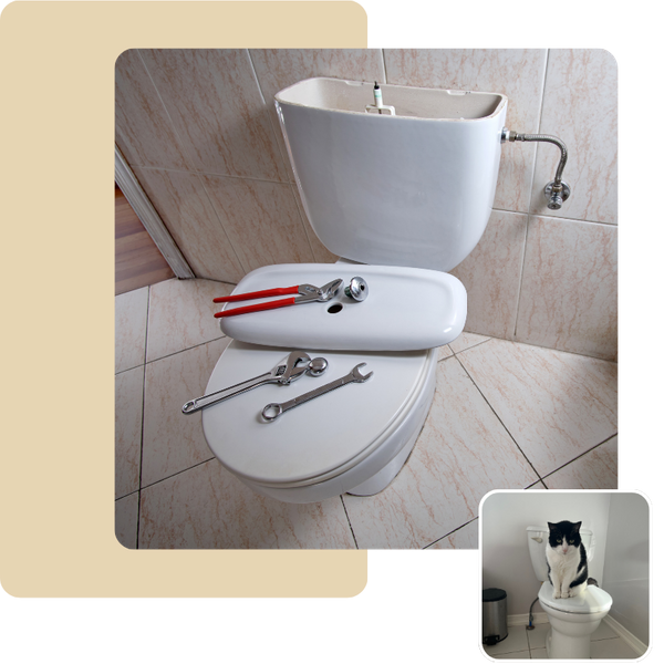 Toilet Repair.png