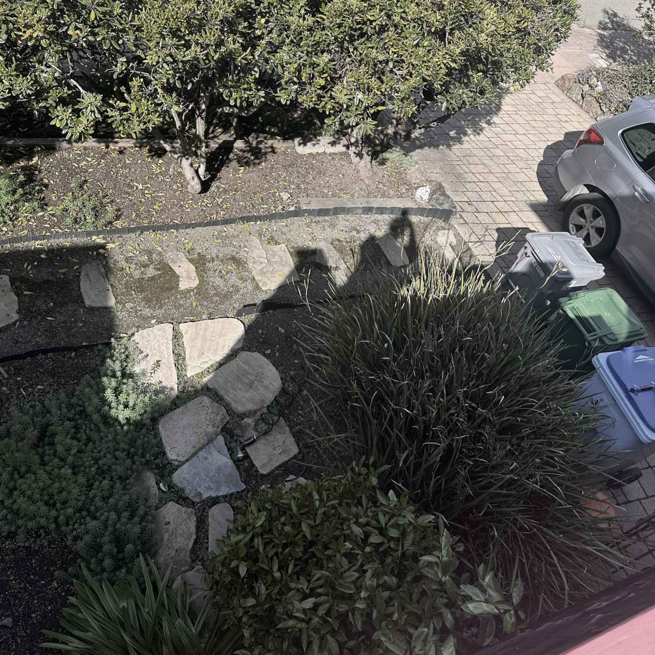 BerkeleyFeature_Before2.JPG