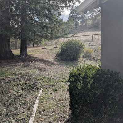 LafayetteBackyardPatio_Before2.jpg