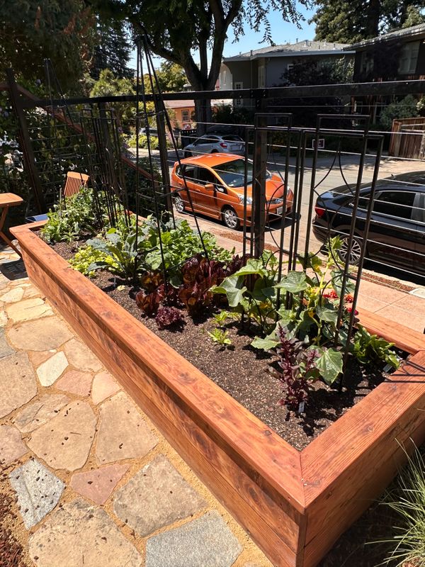 BerkeleyRaisedVegetableBedEdibleGarden.jpeg