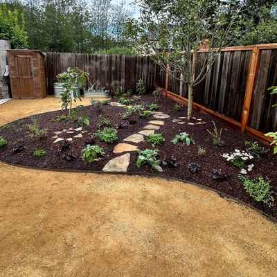 BerkeleyBackyard_After2.jpg