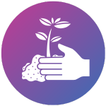 planting sapling icon