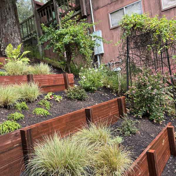 BerkeleyRetainingWalls_During9.jpg