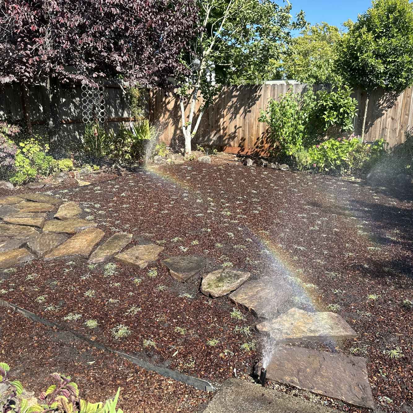 LawnReplacement_During6.jpg