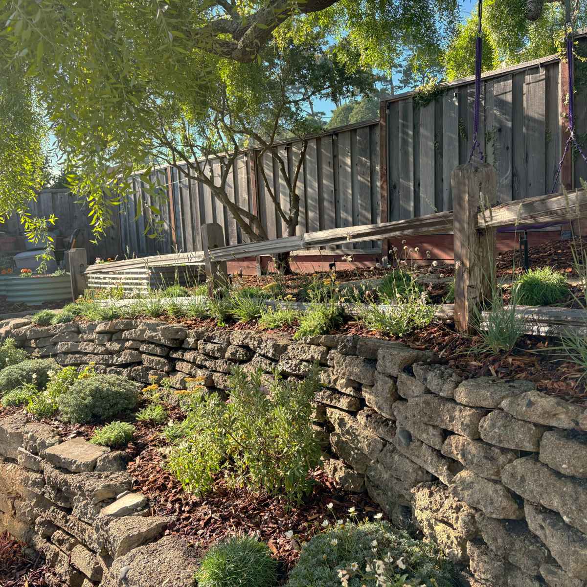 KensingtonPlantingRefresh_During5.jpg