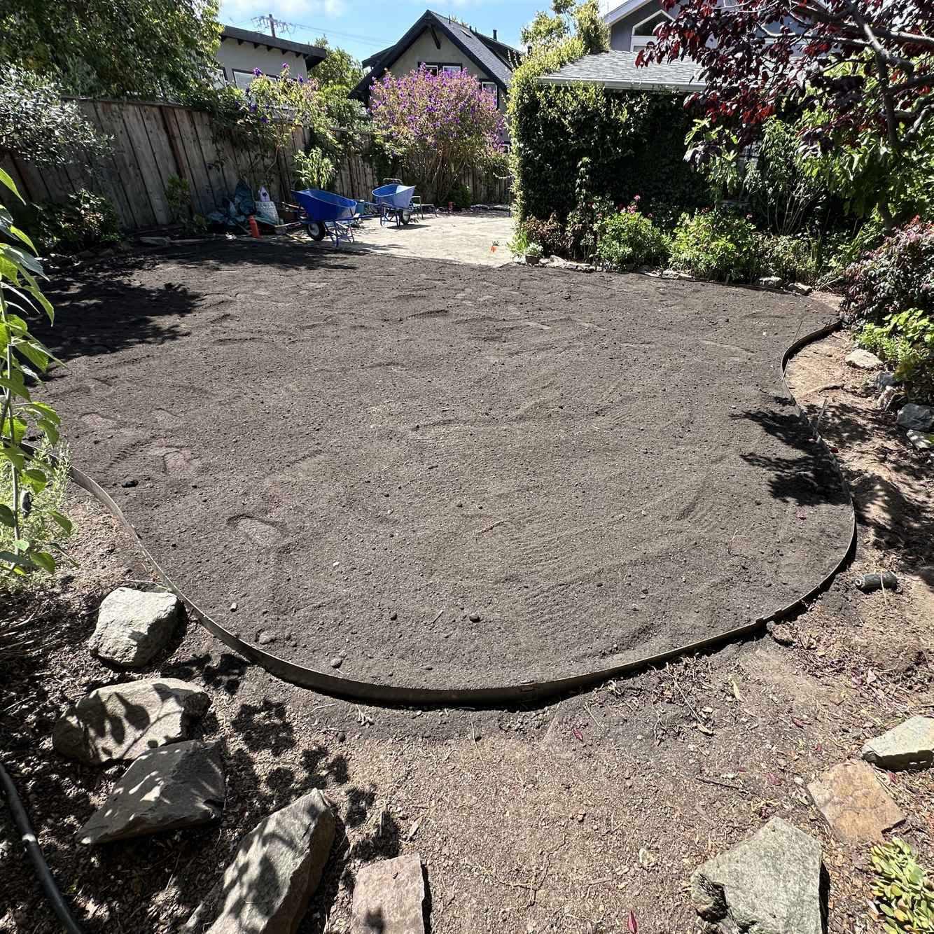 LawnReplacement_During5.jpg