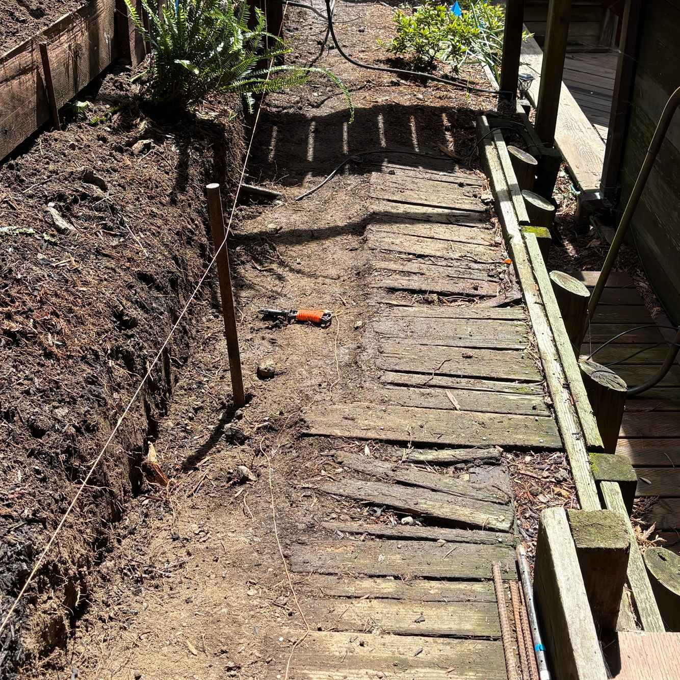 BerkeleyRetainingWalls_During1.jpg