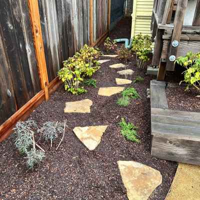 BerkeleyBackyard_After1.jpg