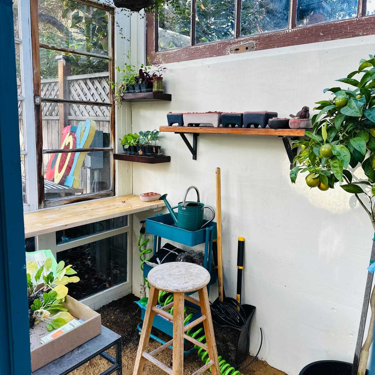 AtkinsGreenhouse_After2.jpg