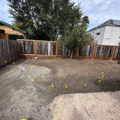 BerkeleyBackyard_During1.jpg