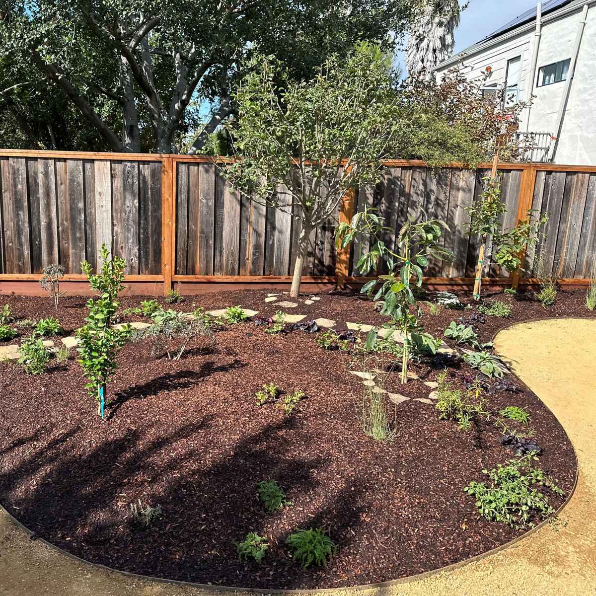 BerkeleyBackyard_After3.jpg