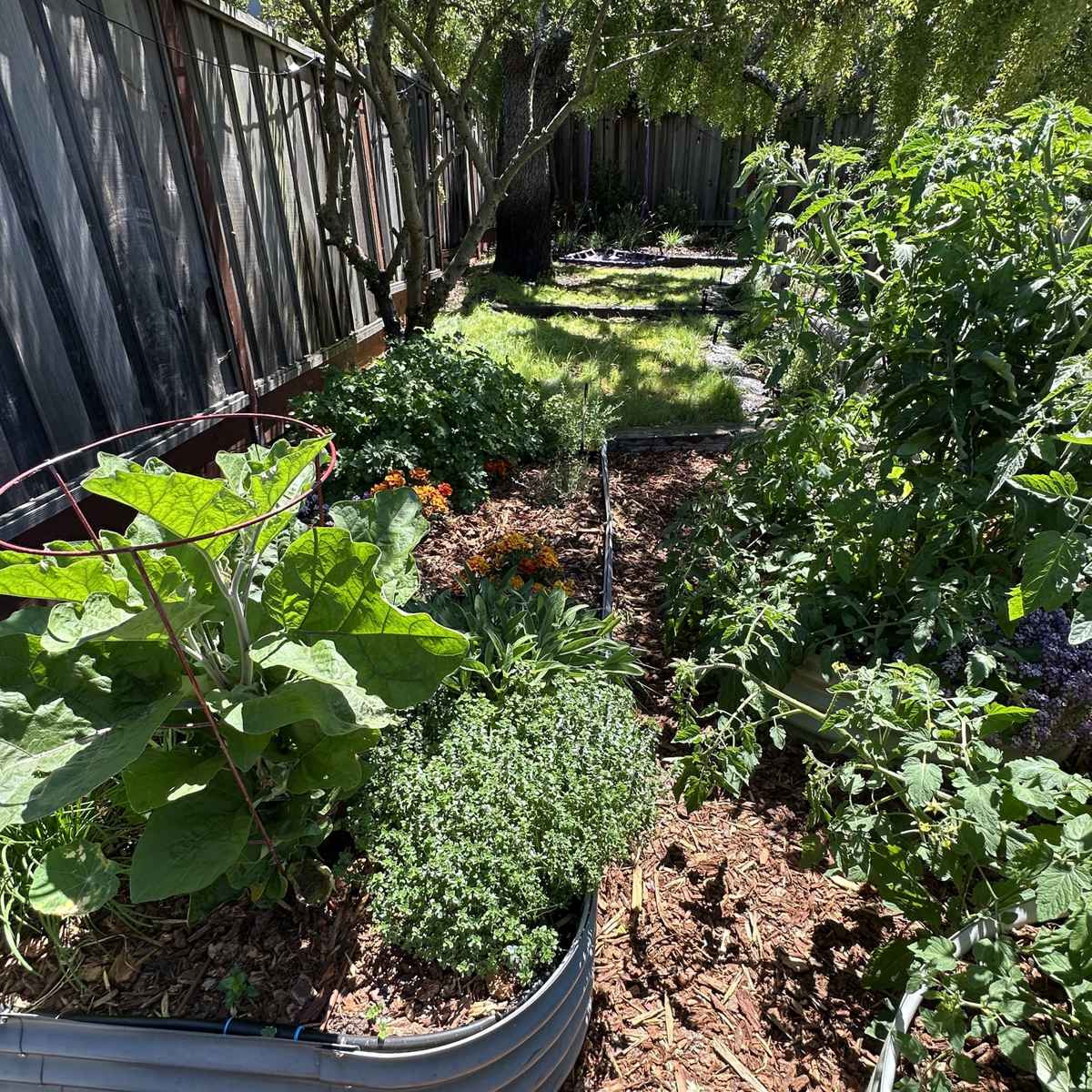 KensingtonPlantingRefresh_After1.jpg