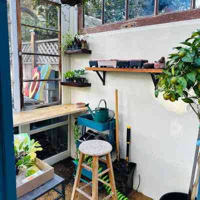 AtkinsGreenhouse_After2.jpg