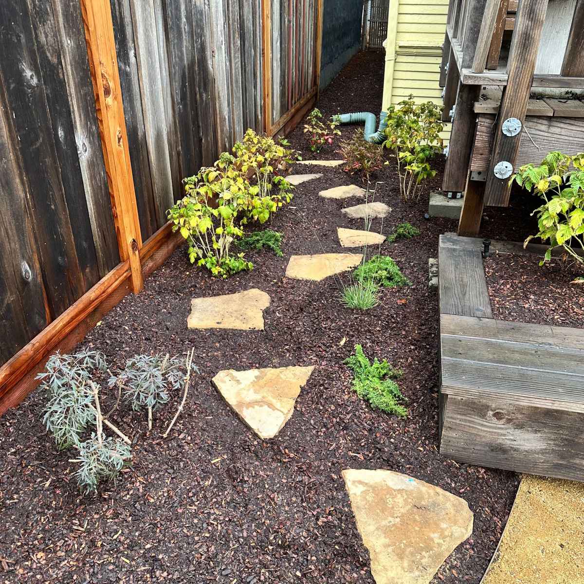 BerkeleyBackyard_After1.jpg