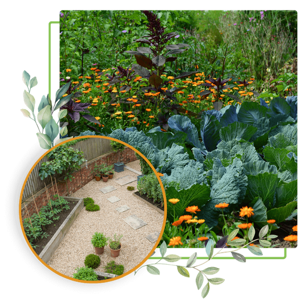 edible garden