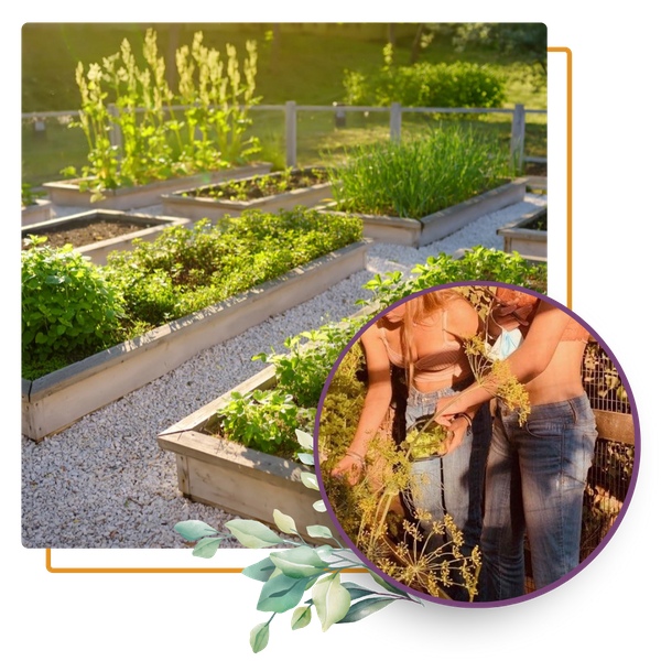 collage: garden beds, teaching student