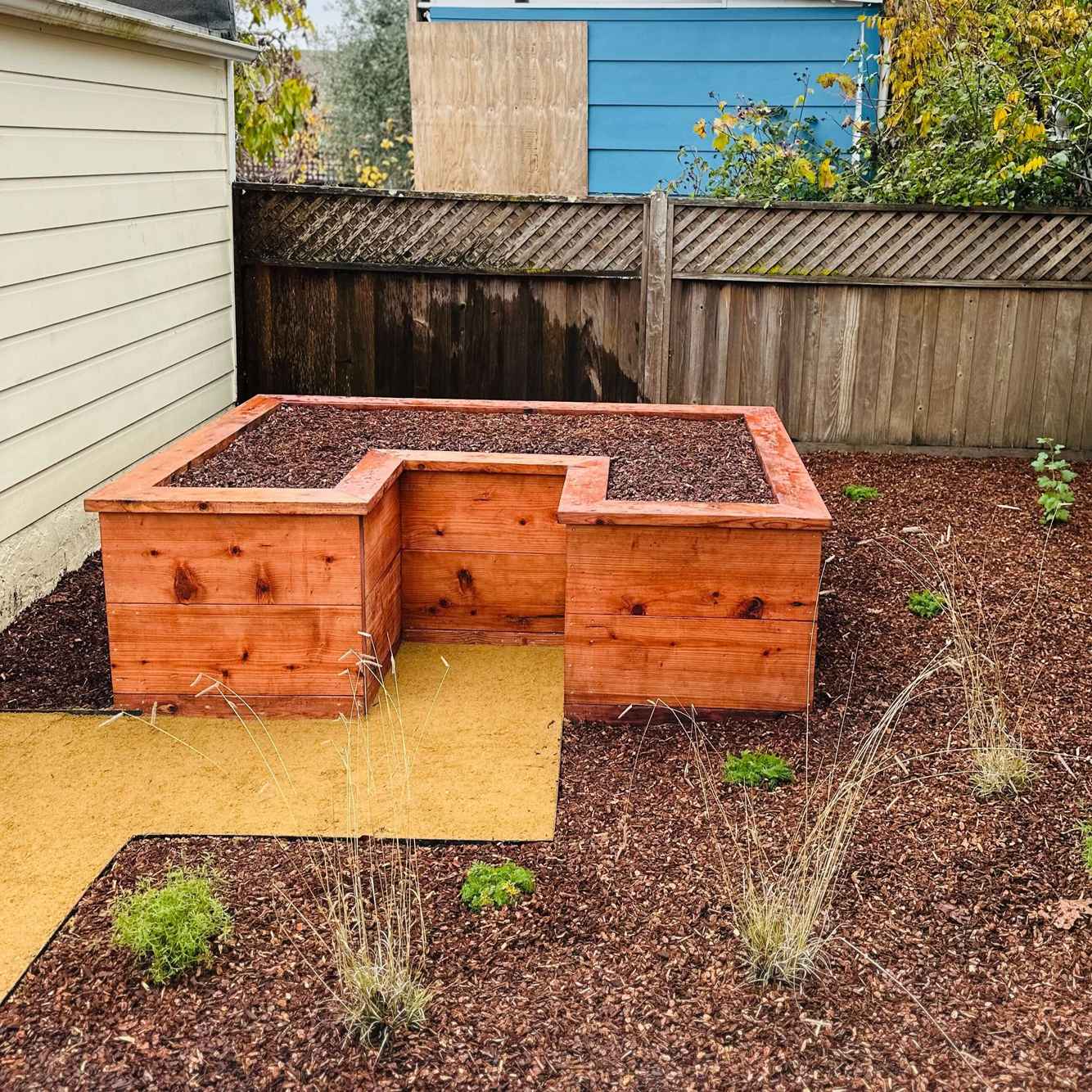 BerkeleyRasiedBed_After1.jpg