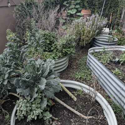 KensingtonPlantingRefresh_Before4.jpg