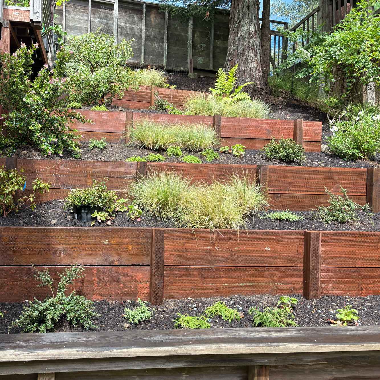 BerkeleyRetainingWalls_During10.jpg