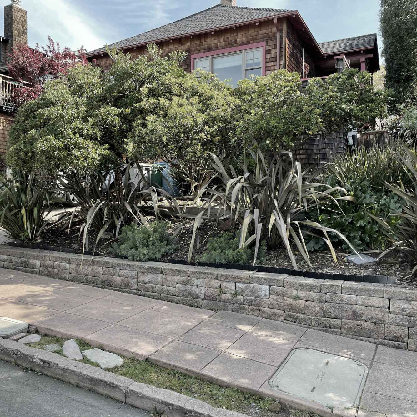 BerkeleyFeature_Before3.JPG