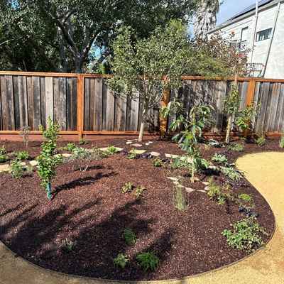 BerkeleyBackyard_After3.jpg