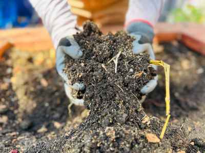 SustainWithMe_Soil.jpg