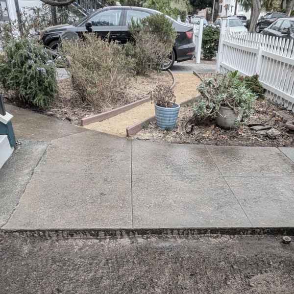 AlamedaFrontYard_Before.JPG
