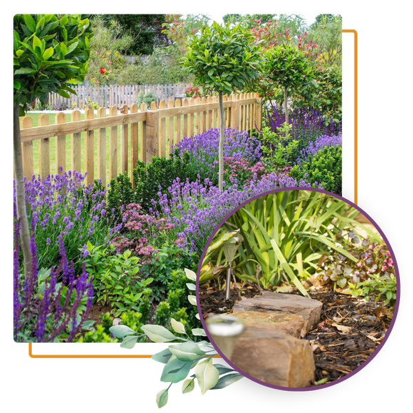 collage: wildflowers and fence, close-up of woodchip bed