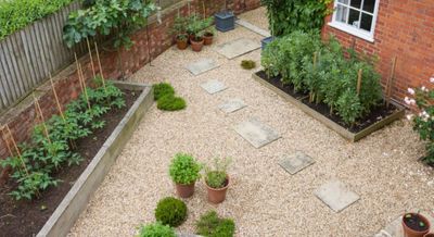 minimalist style garden Alameda-5.png