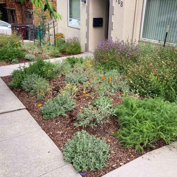 NativePlants_After.jpg