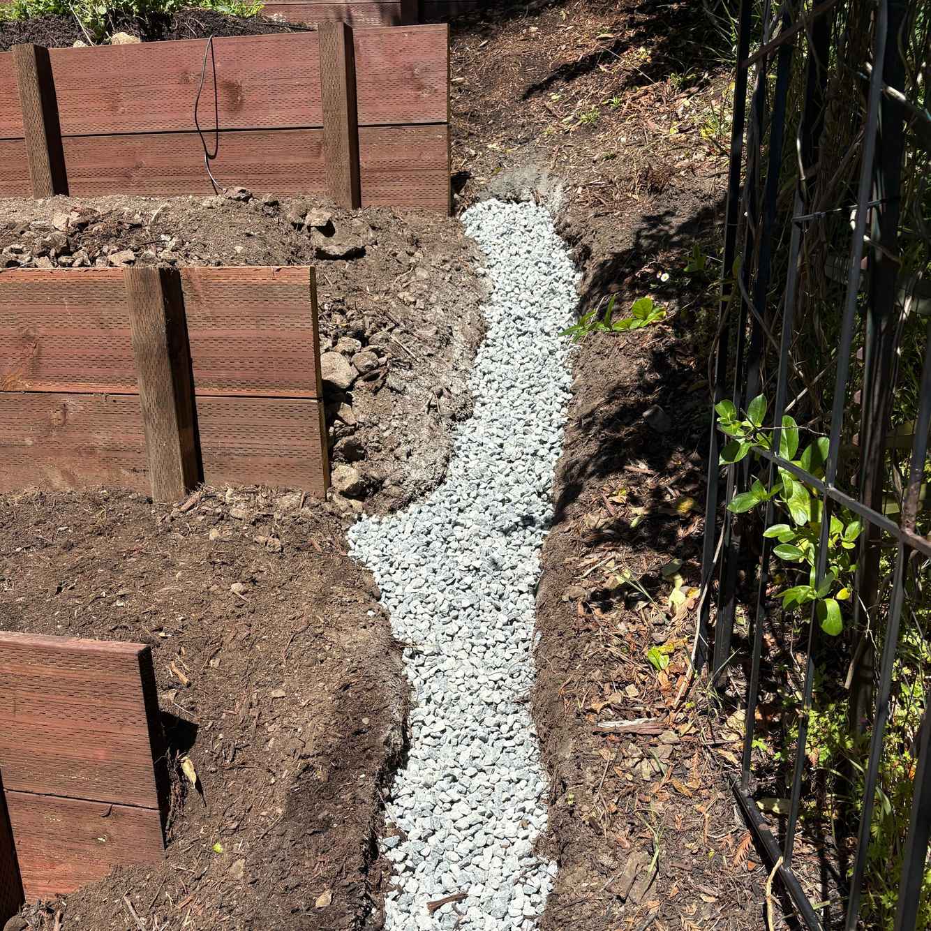 BerkeleyRetainingWalls_During6.jpg