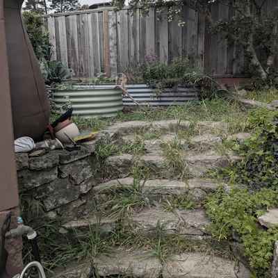 KensingtonPlantingRefresh_Before3.jpg