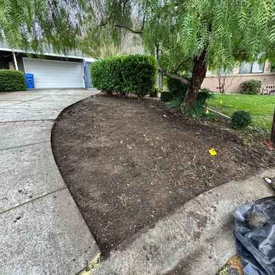 LafayetteFrontYard_During1.jpg