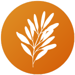 plant leaves icon