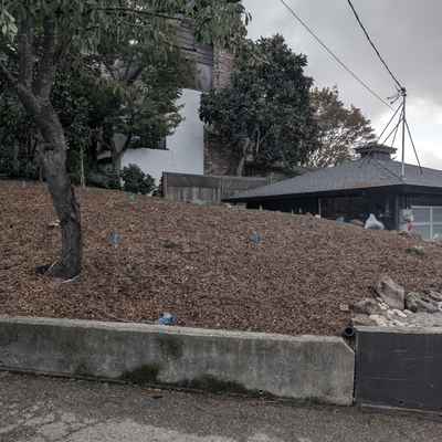 LinOrchardFence_Before2.jpg
