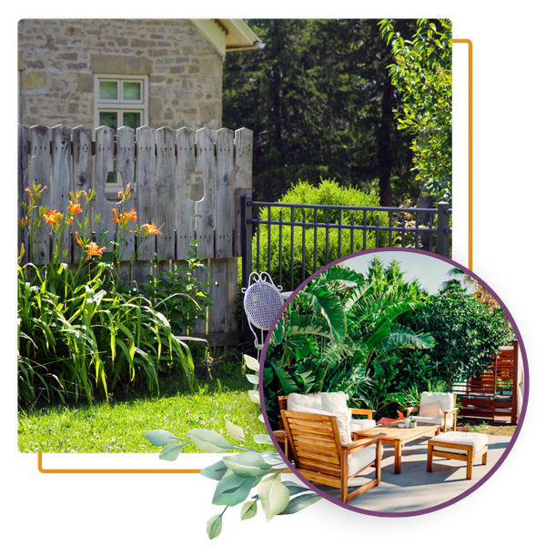 Backyard with plants & a table in foreground