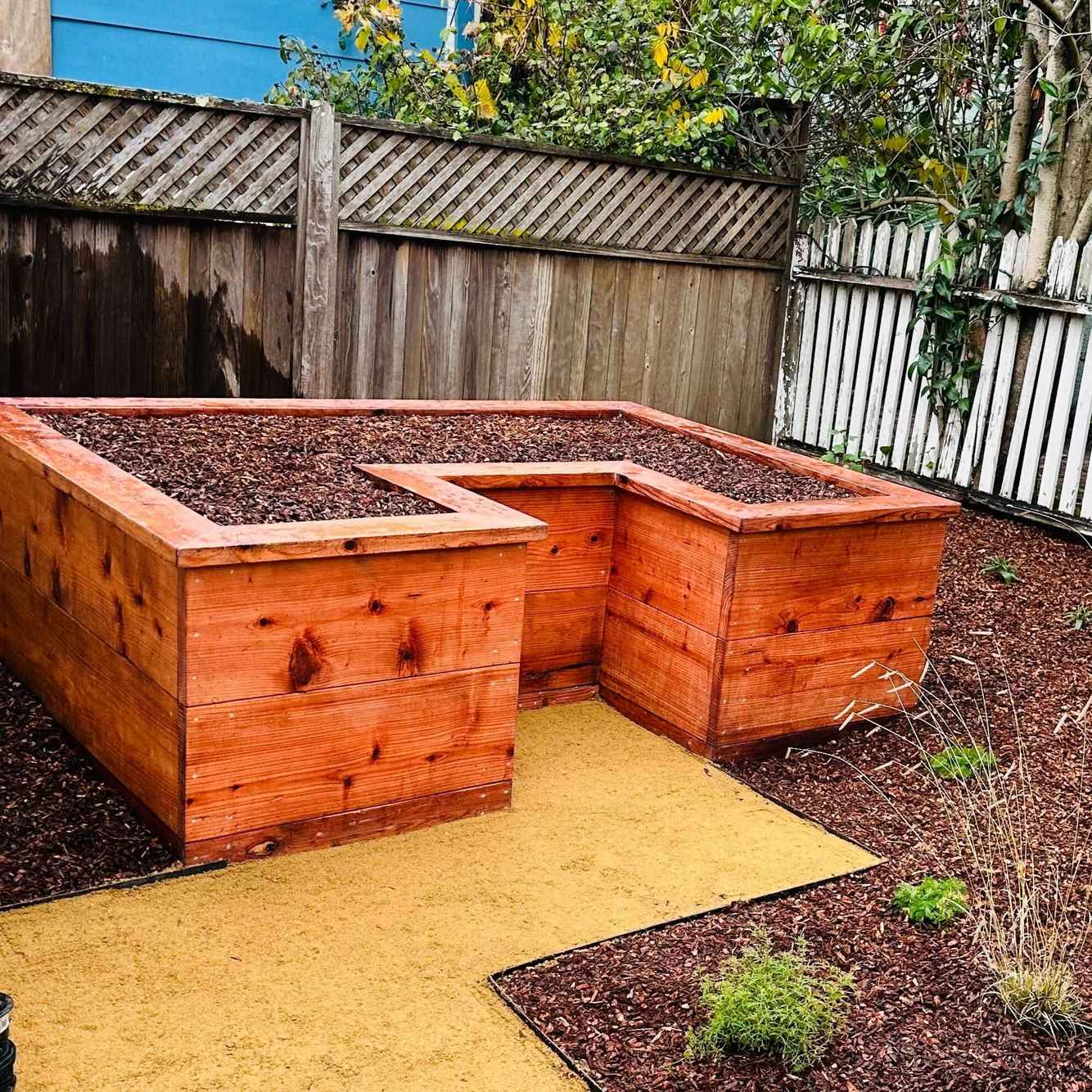 BerkeleyRasiedBed_After2.jpg
