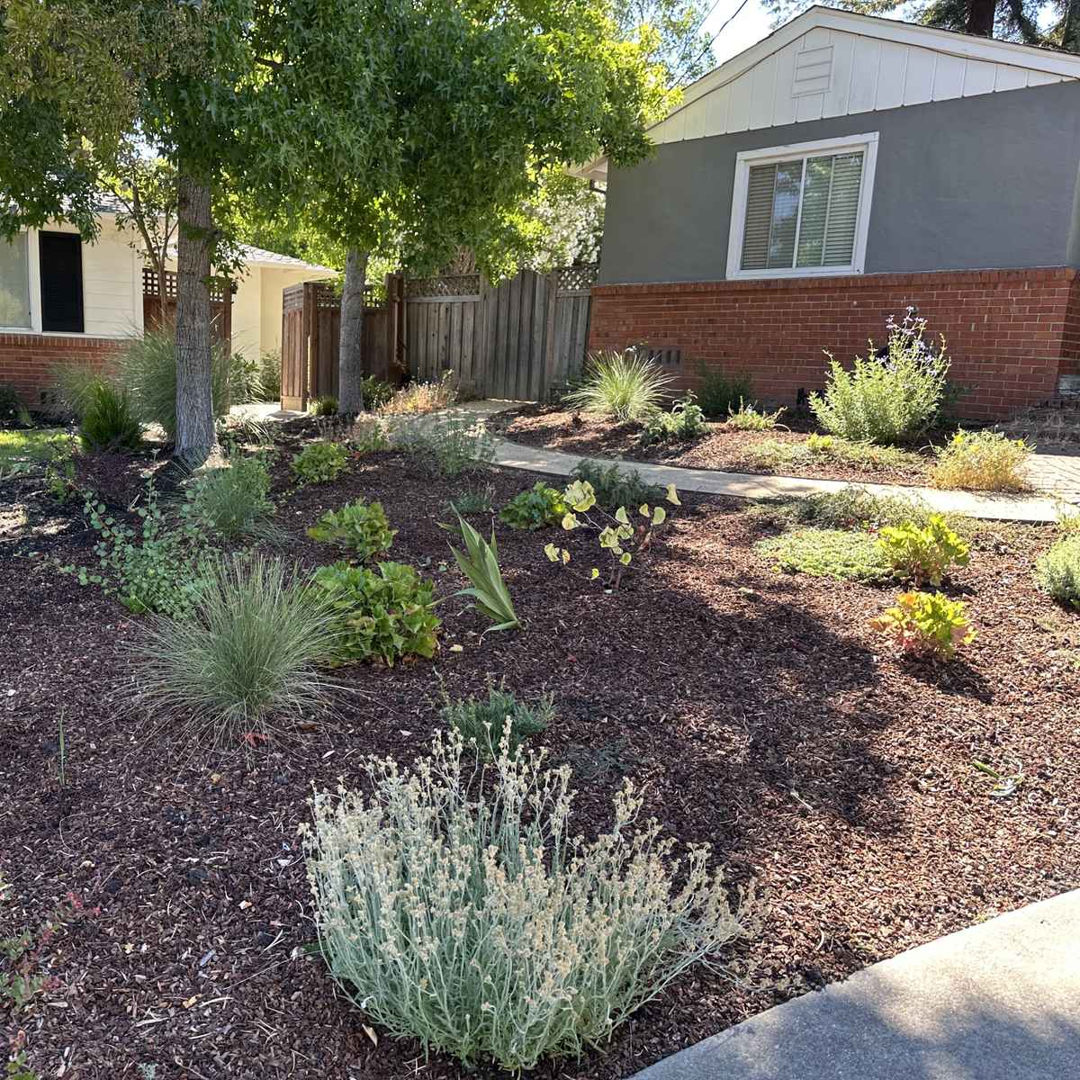 LafayetteFrontYard_After3.jpg