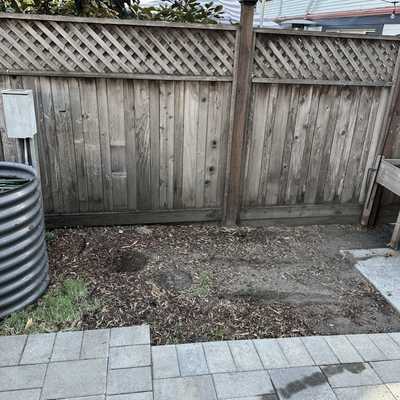 AtkinsGreenhouse_Before.jpg