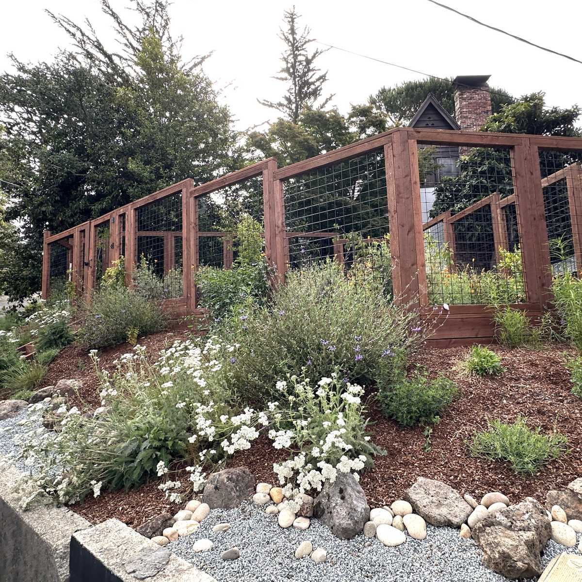 LinOrchardFence_After1.jpg