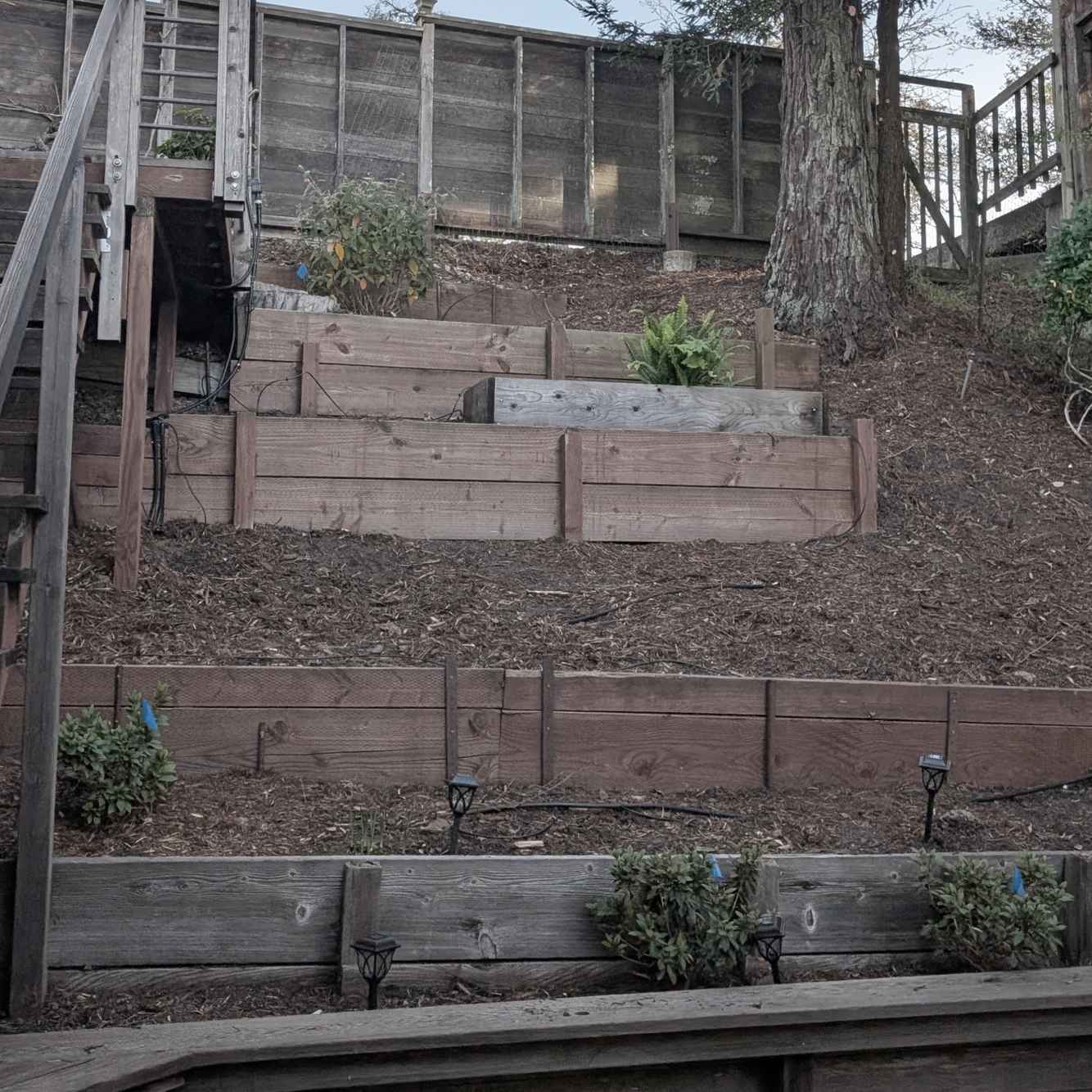 BerkeleyRetainingWalls_Before1.jpg