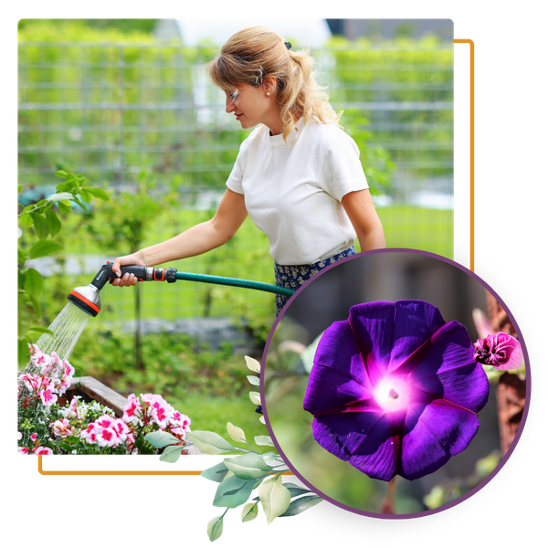 Woman gardening plants with a flower in the corner