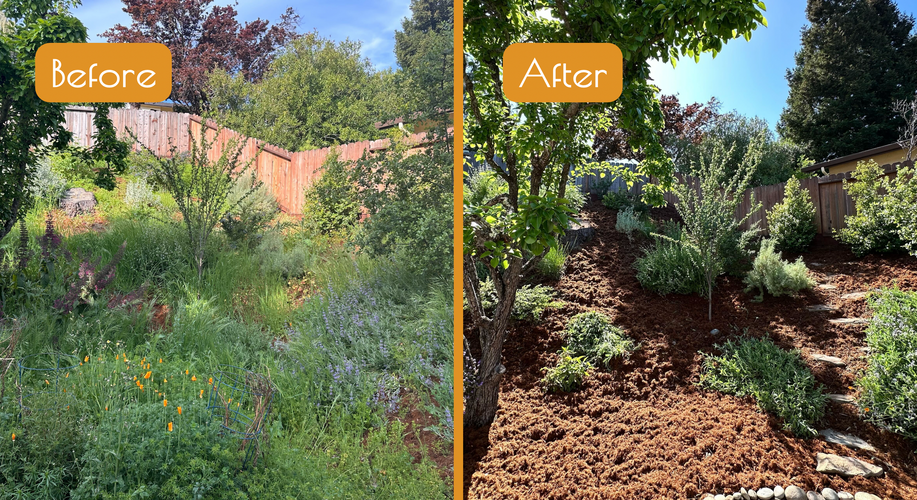 Walnut Creek before and after garden