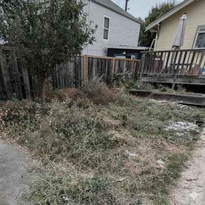 BerkeleyBackyard_Before3.jpg