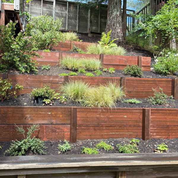 BerkeleyRetainingWalls_During10.jpg